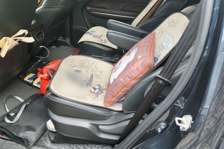 Used GAC Trumpchi M6 2021 270T DCT Luxury Edition (7-seater) Left Rear Seat