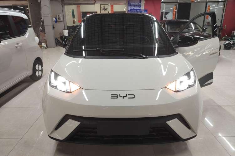 Used BYD Seagull 2025 305 km Free Version