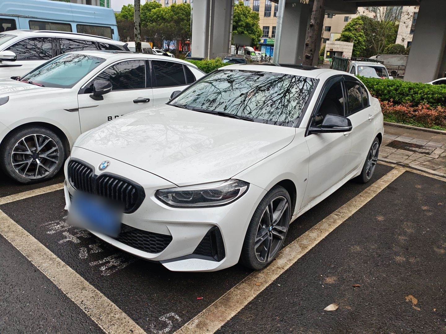 Parte inferior delantera