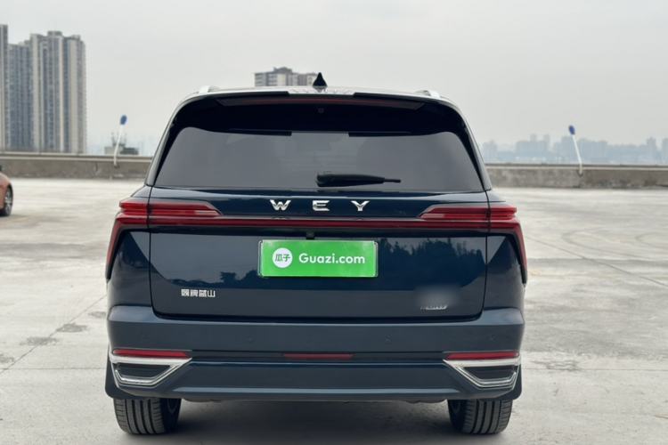 Used Wey Lanshan 2023 Four-Wheel Drive Ultra-Long Range Version