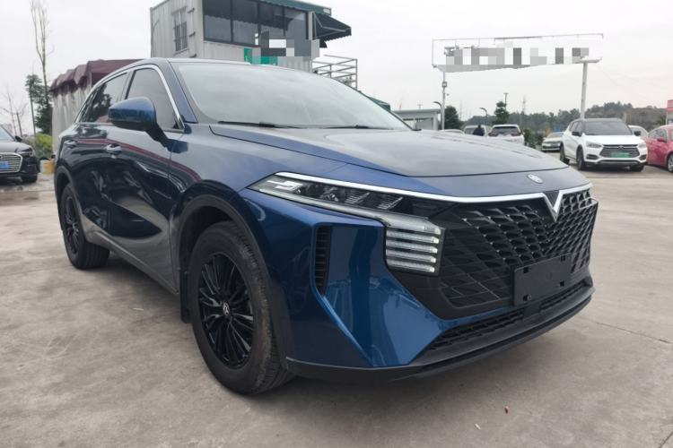 Used Venucia V 2021 260T Idol Edition Exterior 2