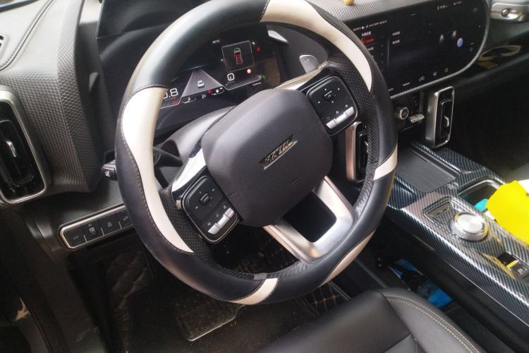 Used Haval DARGO 2021 2.0T DCT 4x4 Chinese Rural Dog Edition