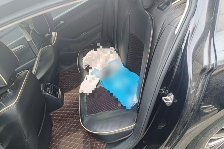 Used Volkswagen Magotan 2020 330TSI DSG Luxury Edition Left Rear Seat