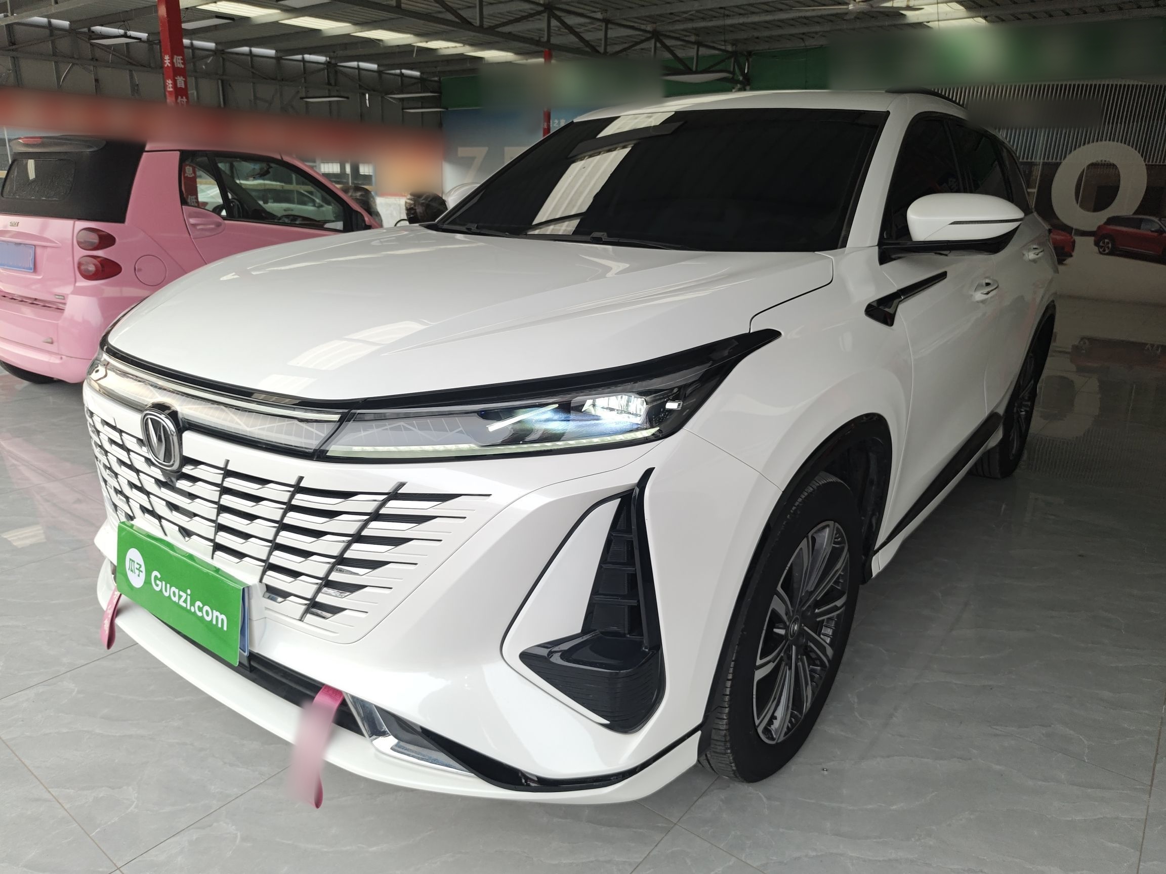 Parte inferior delantera