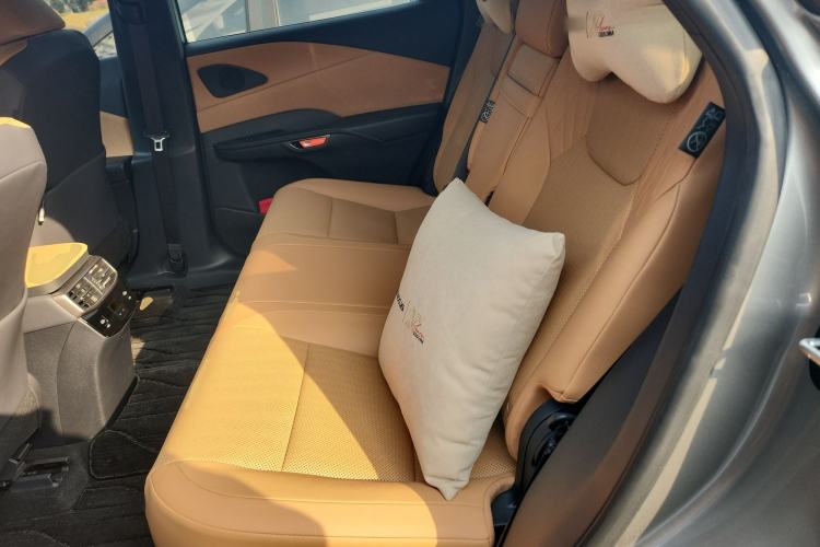 Used Lexus RX 2025 300 Four-Wheel Drive Junxiang Edition Left Rear Seat