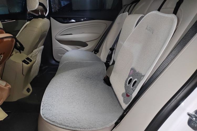 Used Buick Regal 2020 552T Elite Edition