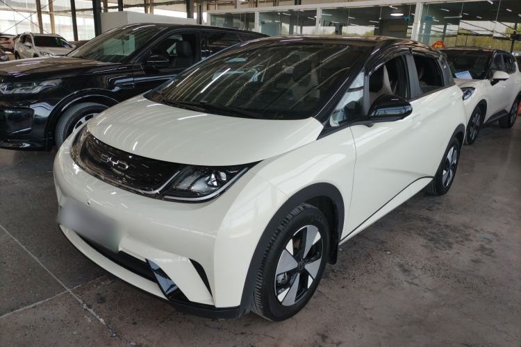 Used BYD Dolphin 2023 420 km Free Version