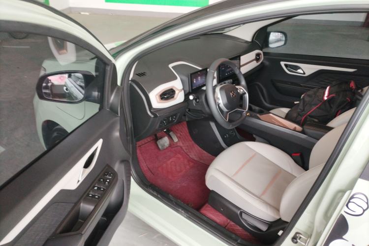 Used SOL E10X 2022 Flower Fairy Design Four-Leaf Clover
