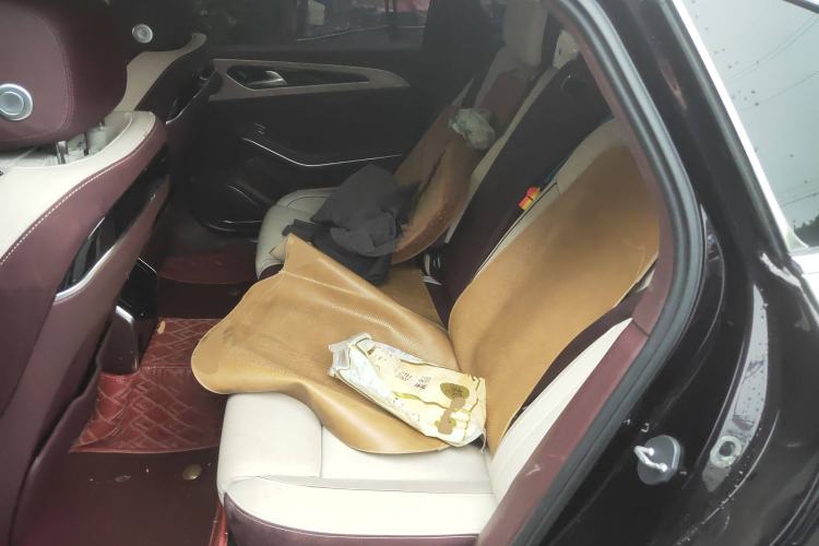 Used Hongqi H9 2020 2.0T Smart Connect Flagship Edition Left Rear Seat