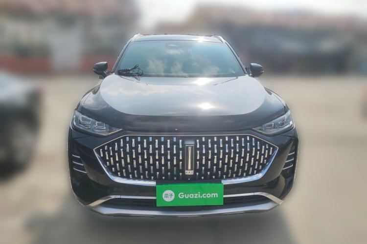 Used Wey Mocha 2021 2.0T Four-Wheel Drive Premium Edition
