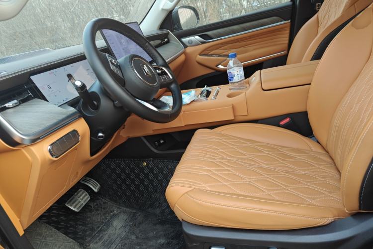 Used Tank 500 New Energy 2026 Model—Hi4-Z Smart Enjoyment Version
