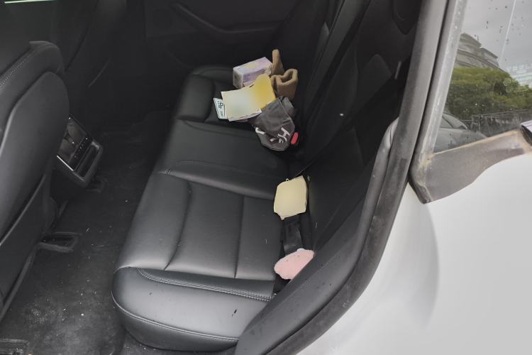 Used Tesla Model 3 2023 Rear-Wheel-Drive Version