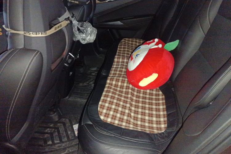 Used Lynk & Co 01 2017 2.0T Two-Wheel Drive Pro Edition Left Rear Seat