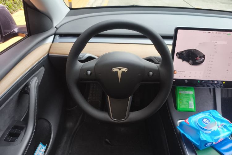 Used Tesla Model Y 2021 Standard Range Rear-Wheel Drive Version
