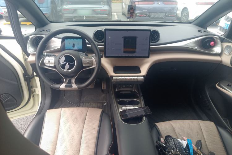 Used BYD Dolphin 2024 Honor Edition 420km Fashion Version Center Console