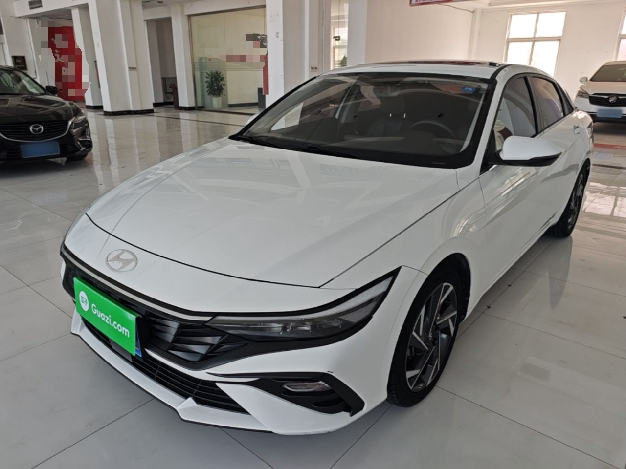 Parte inferior delantera