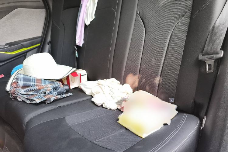 Used Changan E-Pro 2020 High-Performance Edition