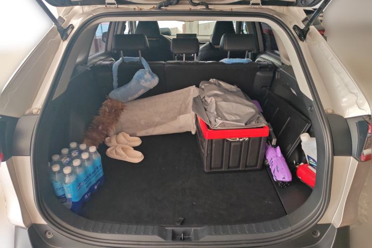 Used Toyota Wildlander 2020 2.0L CVT 4x4 Luxury Edition