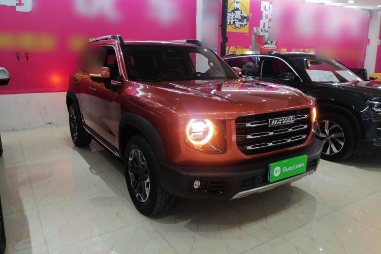 Used Haval DARGO 2021 2.0T DCT 4x4 Chinese Rural Dog Edition