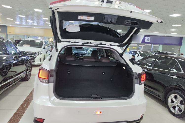 Used Lexus RX 2020 300 Two-Wheel Drive Comfort Edition China VI Standard