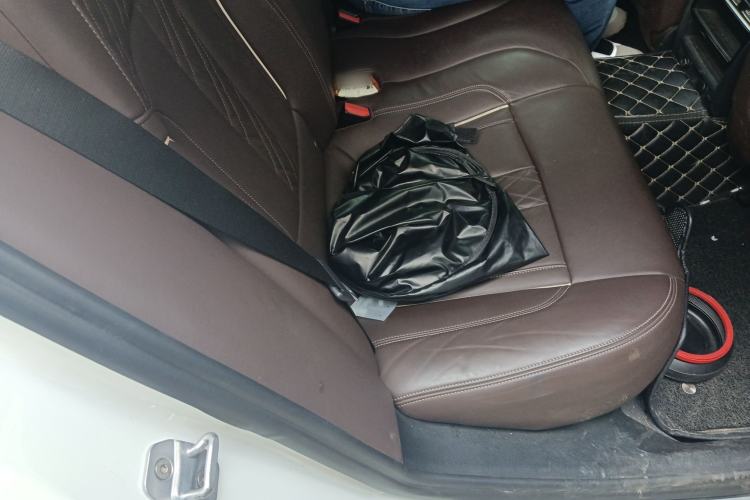 Used BMW 5 Series New Energy 2019 530Le Luxury Package Left Rear Seat