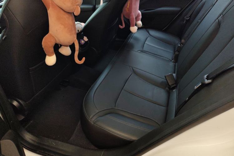 Used Buick GT 2019 18T Automatic Connected Elite Model China VI Standard Left Rear Seat