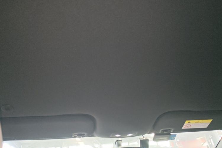 Used BYD Dolphin 2023 420 km Free Version Headliner