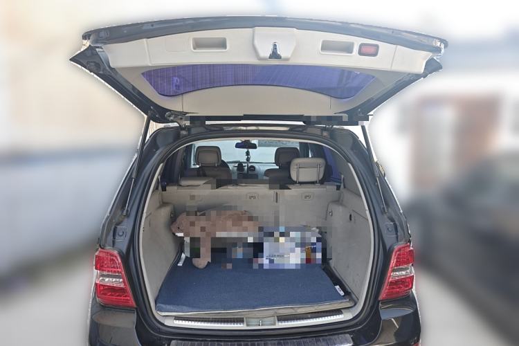 Used Mercedes-Benz M-Class 2010 ML 300 4MATIC Trunk