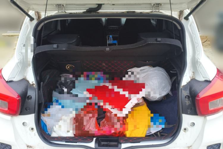 Used Dongfeng NAMMI EX1 2021 Zhi Ling Version Trunk