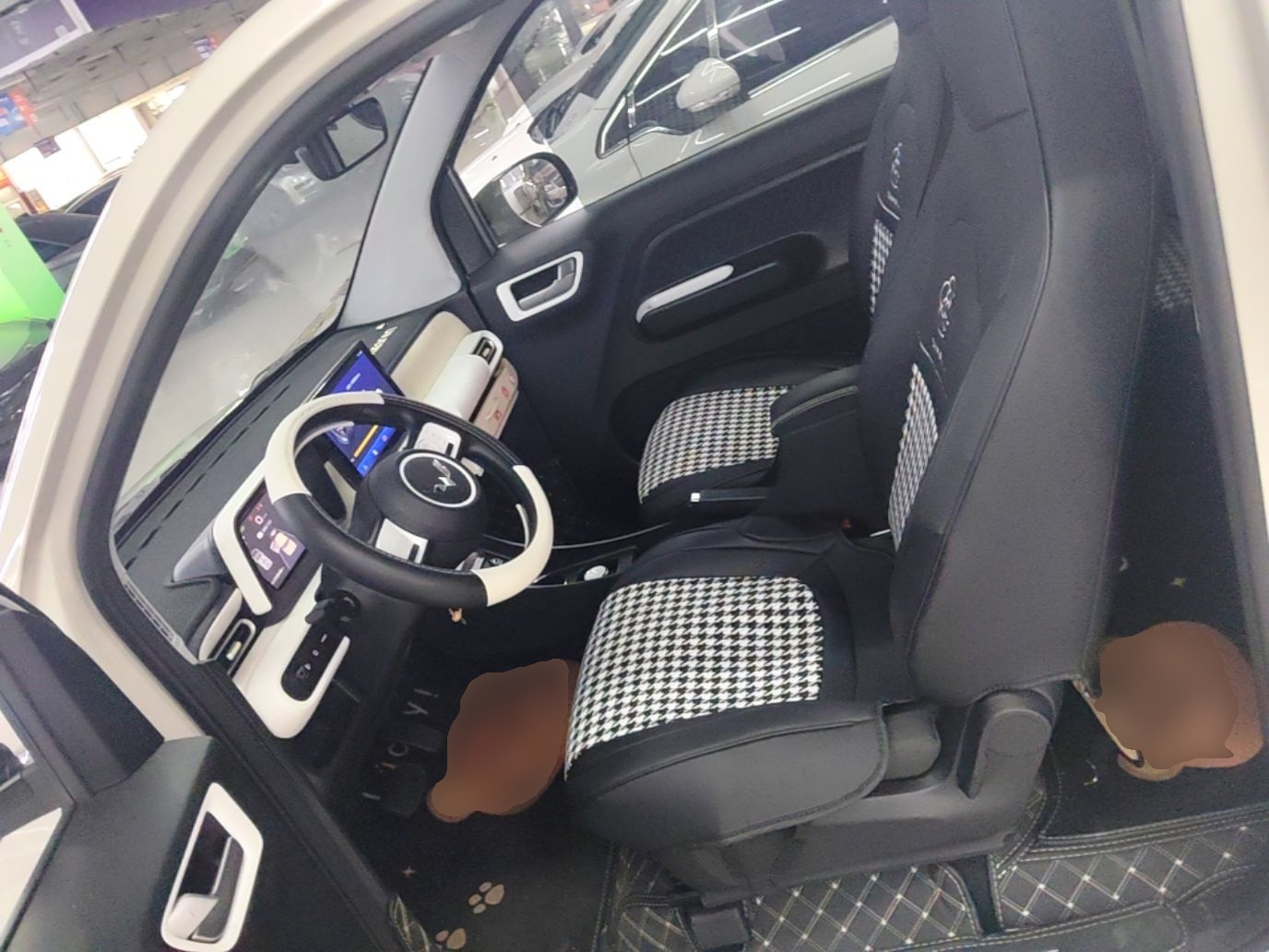 Interior delantero