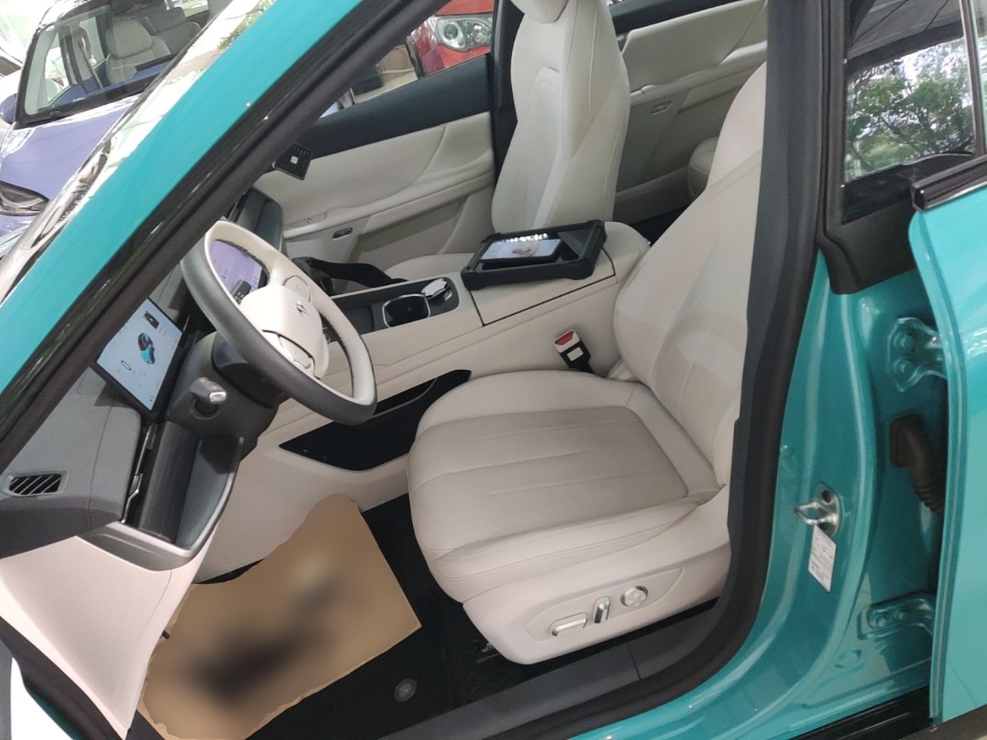 Interior delantero