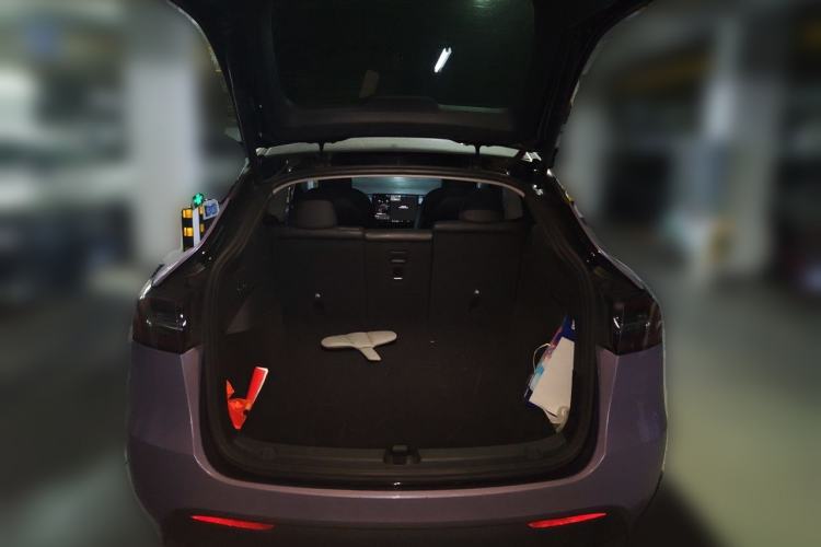 Used Tesla Model Y 2021 Standard Range Rear-Wheel Drive Version