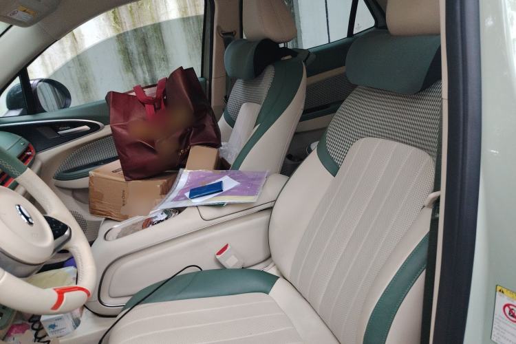 Used ORA Good Cat 2023 401 km Standard Range Prestige Version Lithium Iron Phosphate Left Front Seat