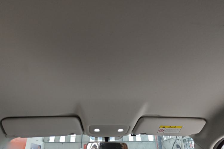 Used Leapmotor T03 2021 400 Lite Edition Lithium Iron Phosphate Headliner