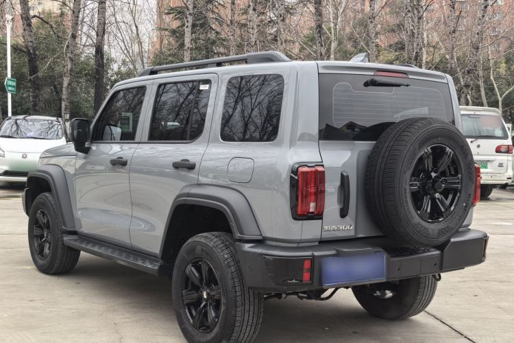 Used Tank 300 2025 2.0T Conqueror
