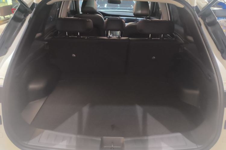 Used Venucia Star 2021 260T Automatic 48V Mild Hybrid Turbocharged Star Achieve Edition

