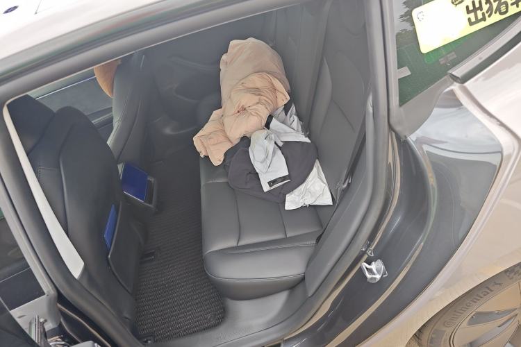 Used Tesla Model 3 2023 Long-Range All-Wheel-Drive Version Left Rear Seat