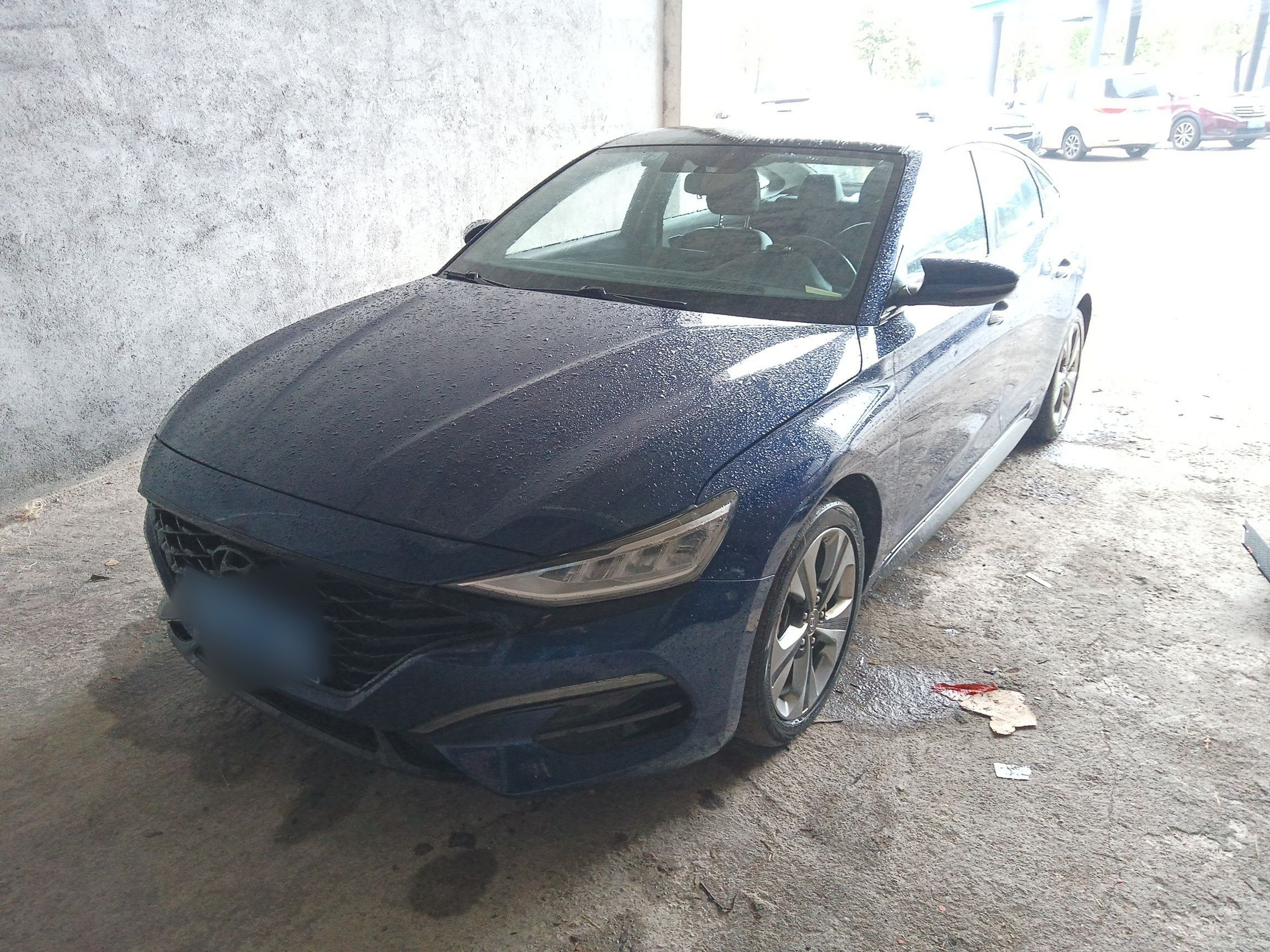 Parte inferior delantera