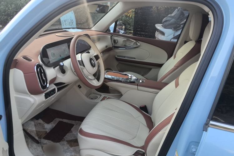 Used ORA Ballet Cat 2023 401 km Luxury Version
