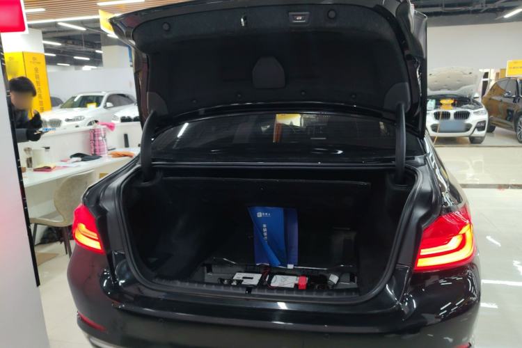 Used BMW 5 Series 2020 530Li Leading Edition Luxury Package
