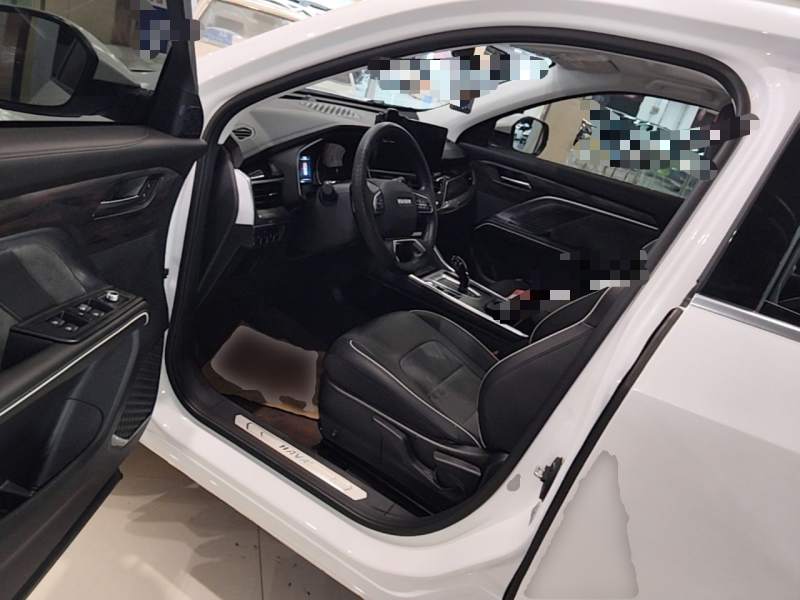 Used Haval H6 2023 National Trend Edition 1.5T Automatic Urban Version — 15