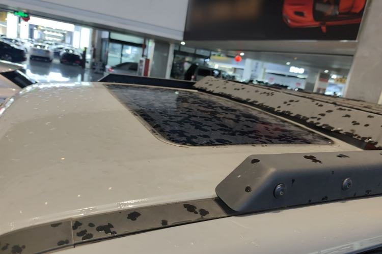 Used Tank 300 2021 2.0T Wind & Forest Iron Rider Roof