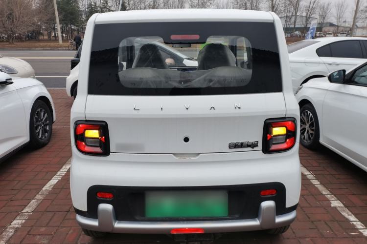 Used Livan Blue Balloon 2025 Model Dynamic Version
