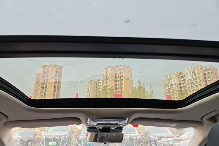 Used Hongqi H5 2024 1.5T DCT Smart Connect Flagship Edition Headliner