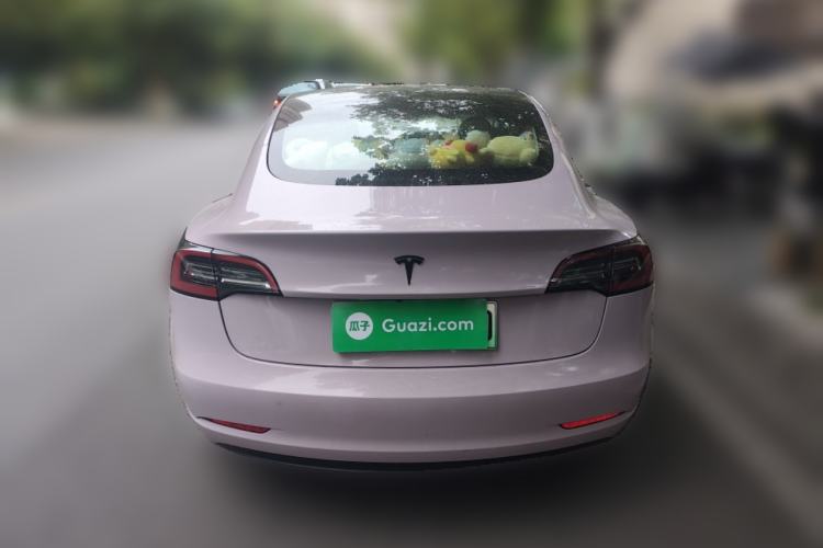 Used Tesla Model 3 2022 Rear-Wheel-Drive Version