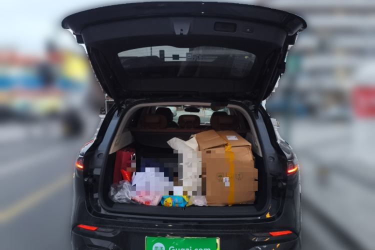 Used VOYAH FREE 2024 Ultra-Long Range Intelligent Driving Version
