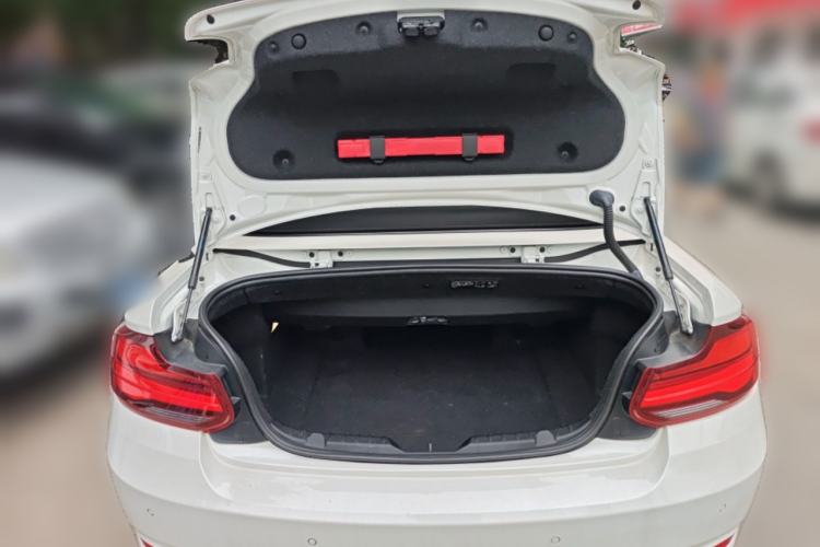 Used BMW 2 Series 2019 225i Convertible Coupe Sports Design Package
