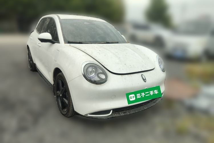 Used ORA Good Cat 2024 401 km Luxury Version
