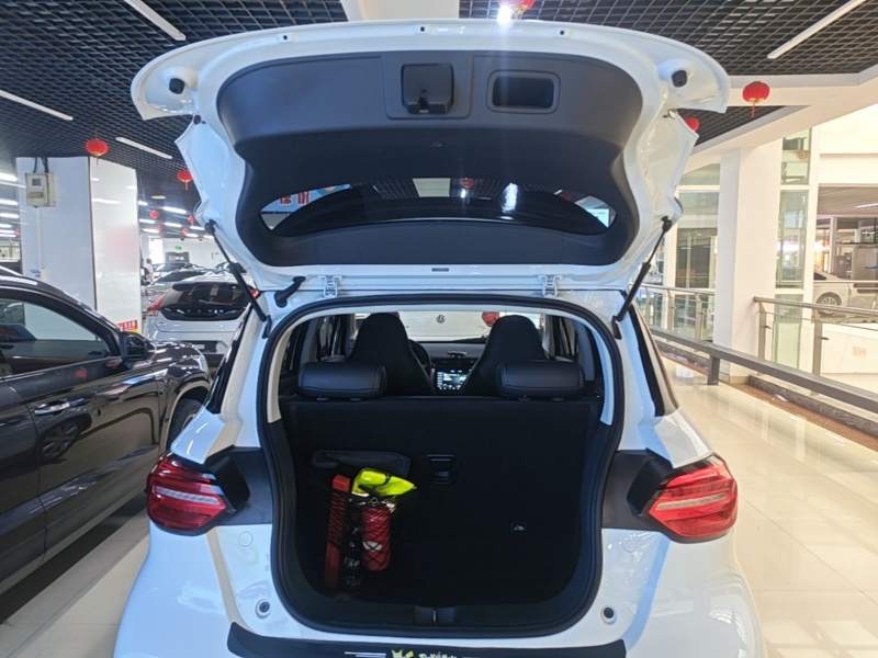 Used Leapmotor T03 2023 403 Lite Edition — 18