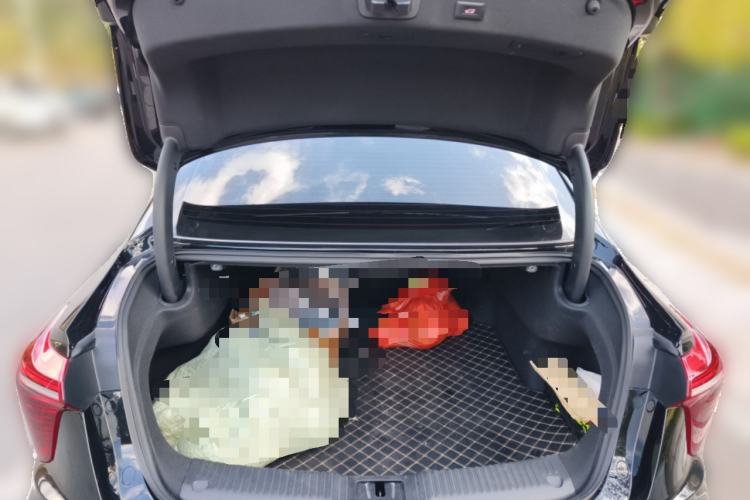 Used Hongqi H5 2024 2.0T Automatic Smart Connect Flagship Edition